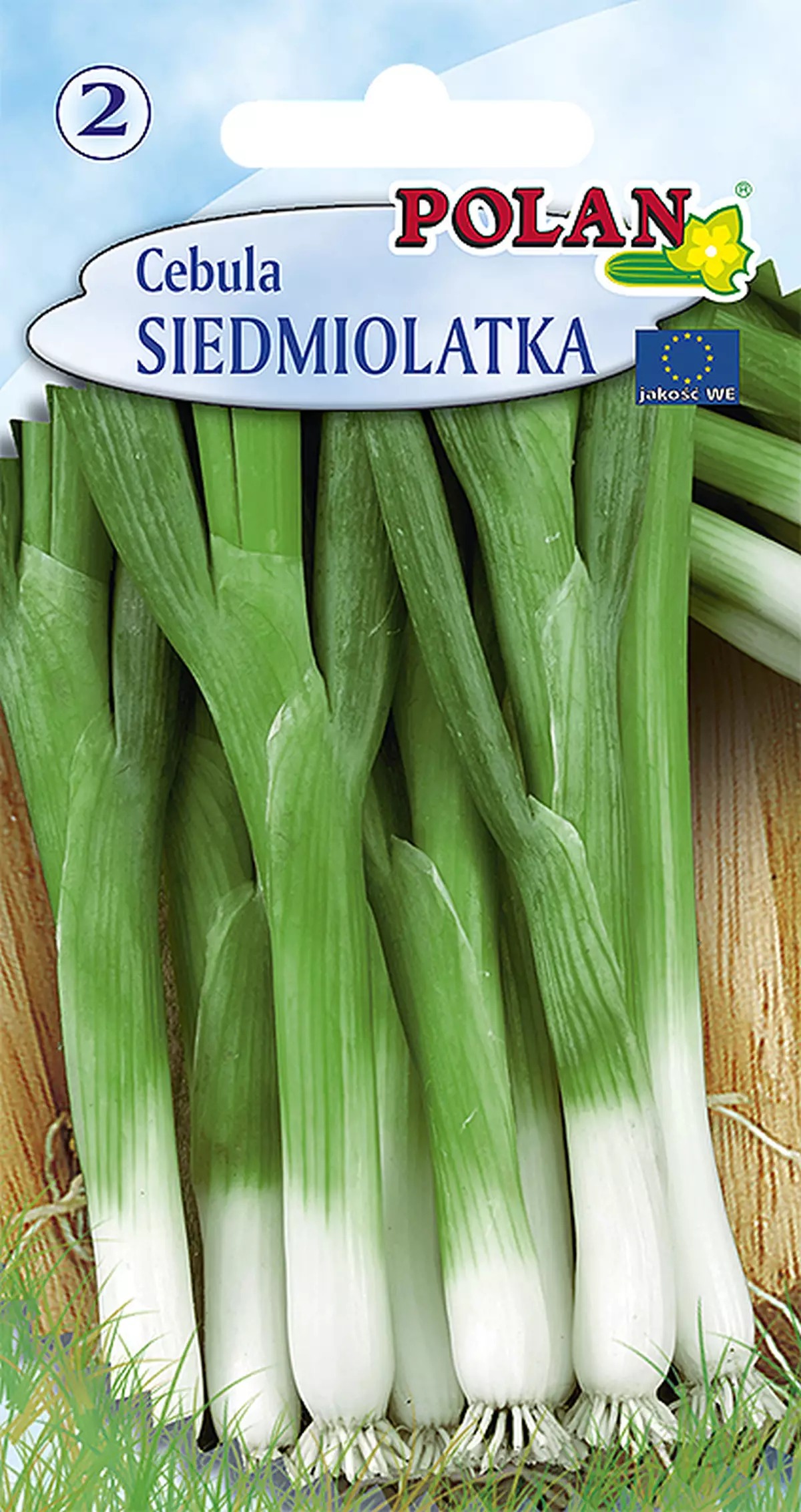 Cebula siedmiolatka Bajkał - wieloletnia roślina o łagodnym smaku