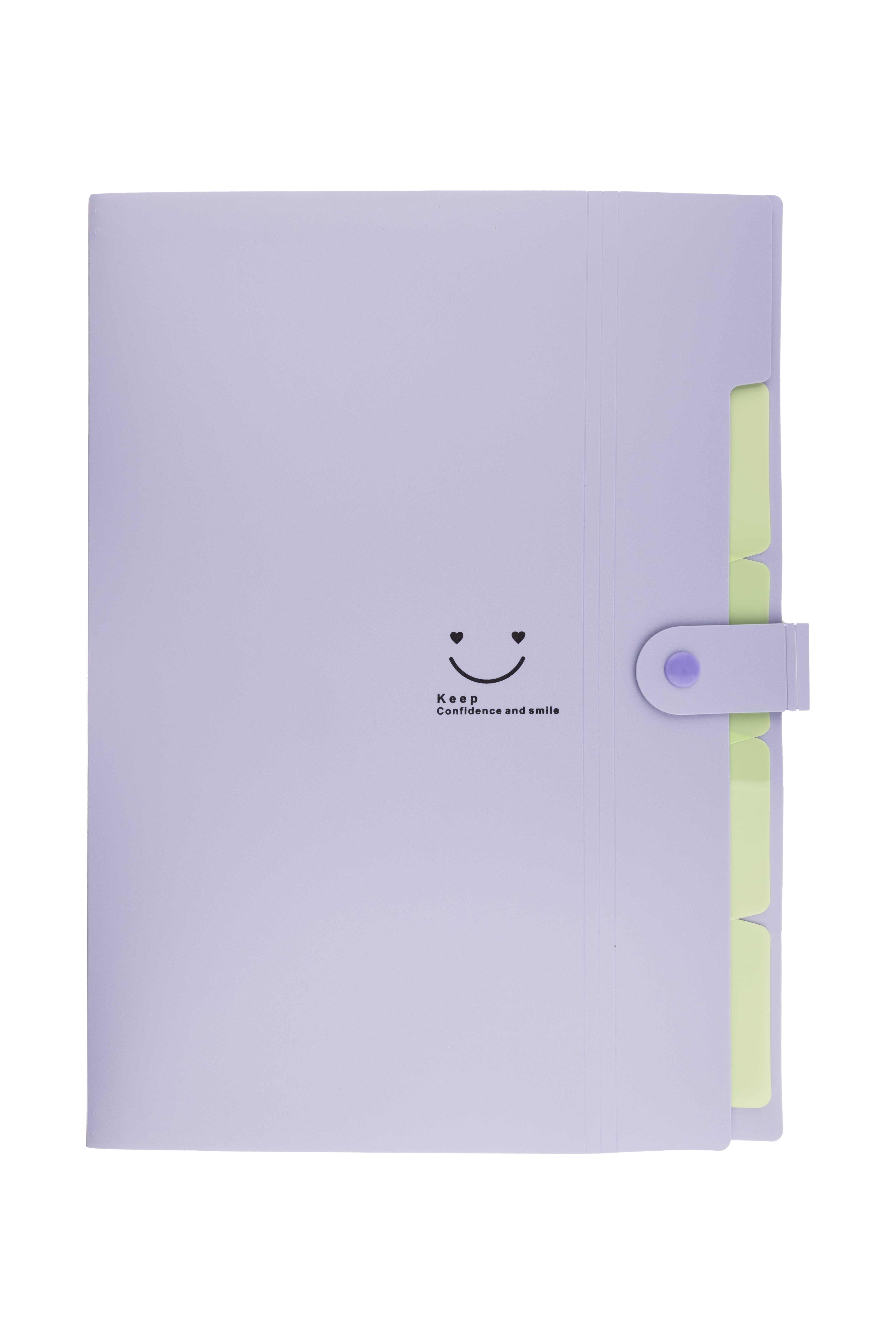 Teczka A4 plastikowa z 5 przegródkami fioletowa